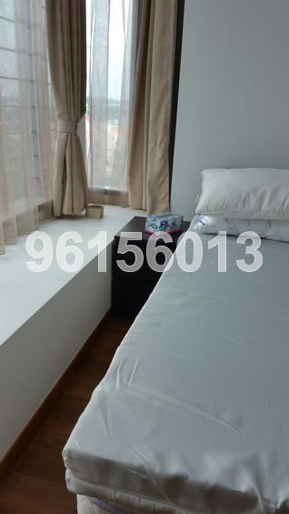 Residences @ Evelyn (D11), Condominium #131717692